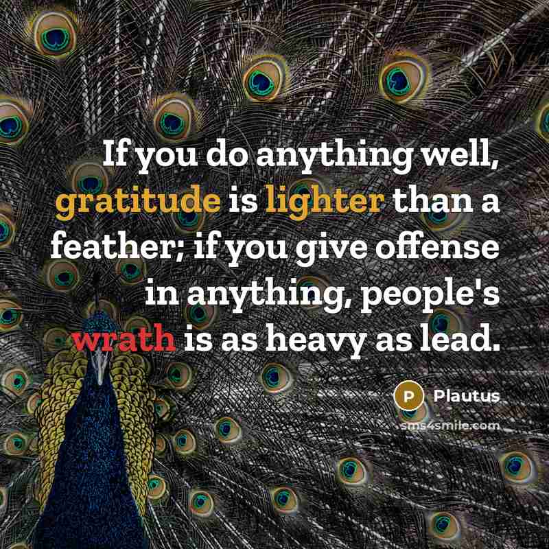 “If you do anything well, gratitude is lighter than a feather; if you give offense in anything, people's wrath is as heavy as lead.” quote by Plautus