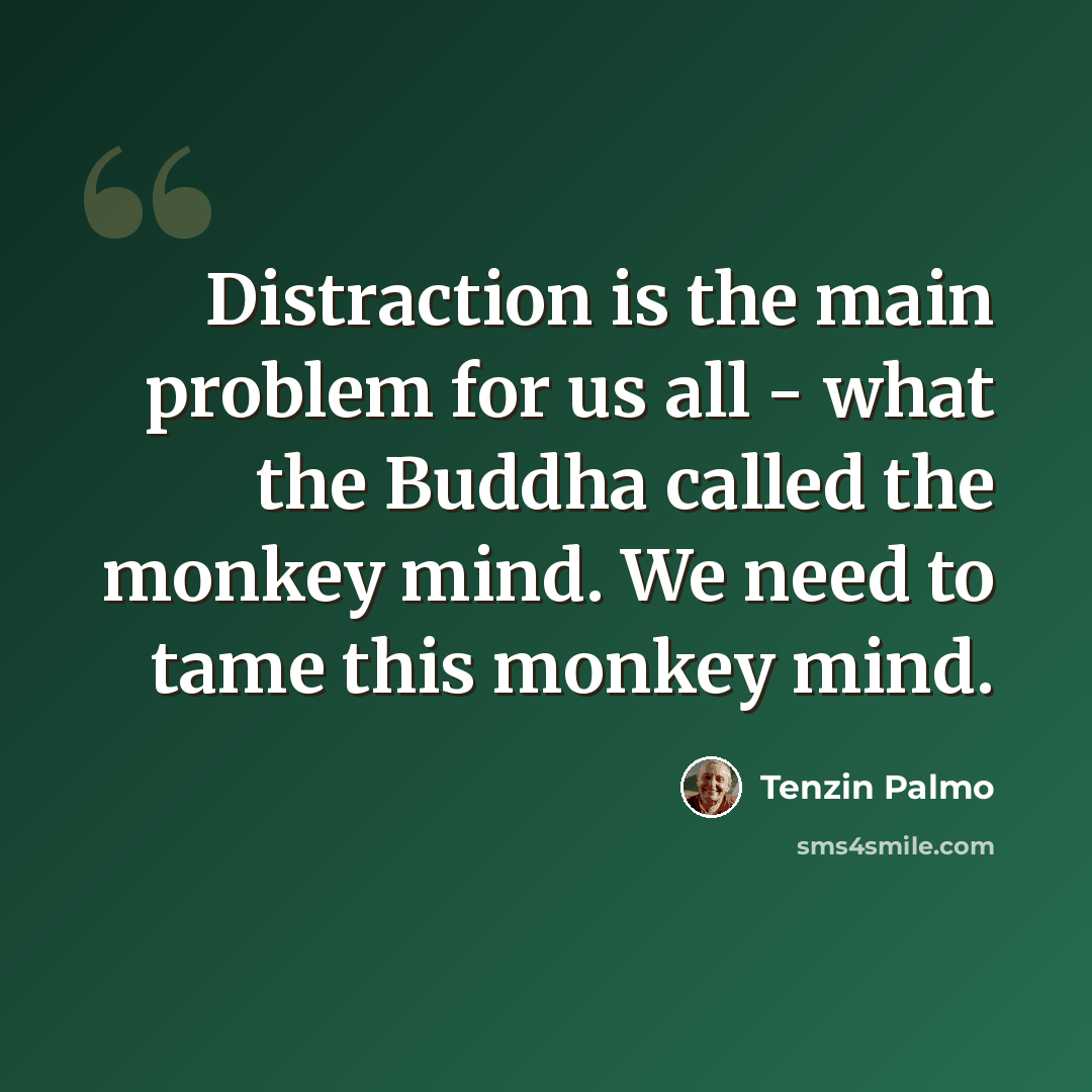 “Distraction is the main problem for us all - what the Buddha called the monkey mind. We need to tame this monkey mind.” quote by Tenzin Palmo