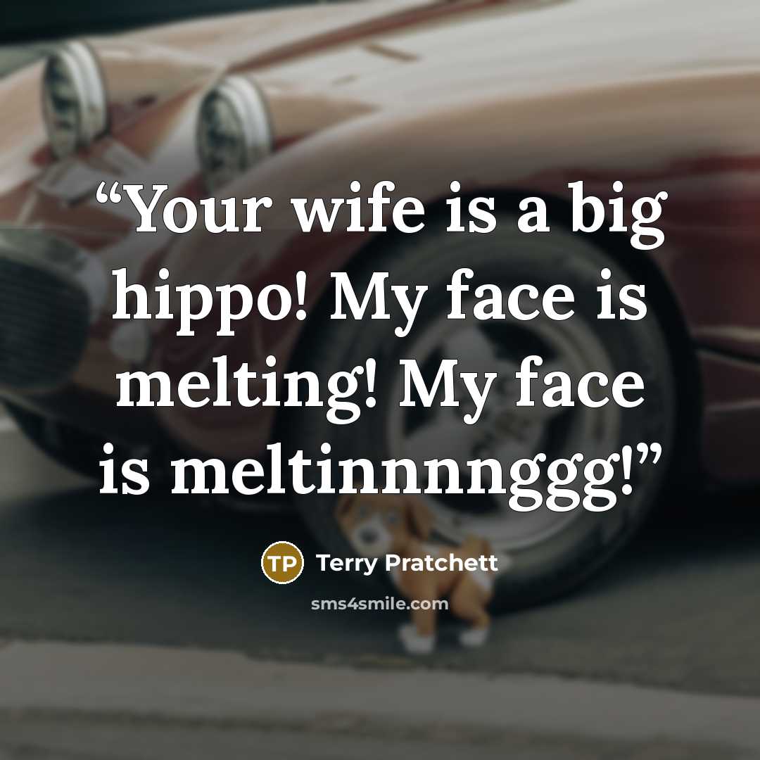 “Your wife is a big hippo! My face is melting! My face is meltinnnnggg!” quote by Terry Pratchett