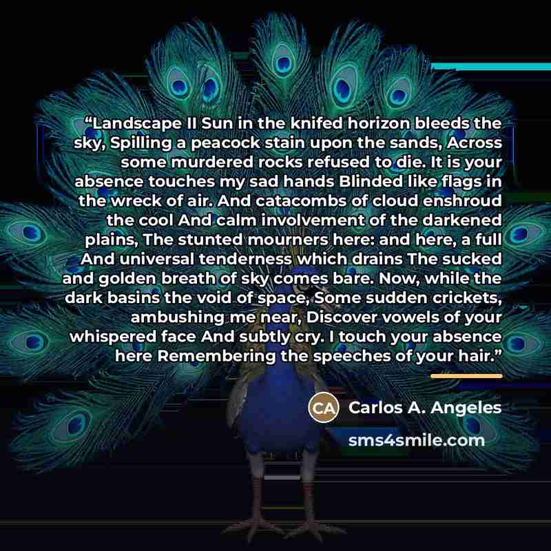 “Landscape II Sun in the knifed horizon bleeds the sky, Spilling a peacock stain upon the sands, Across some murdered rocks refused to die. It is your absence touches my sad hands Blinded like flags in the wreck of air. And catacombs of cloud enshroud the cool And calm involvement of the darkened…” quote by Carlos A. Angeles