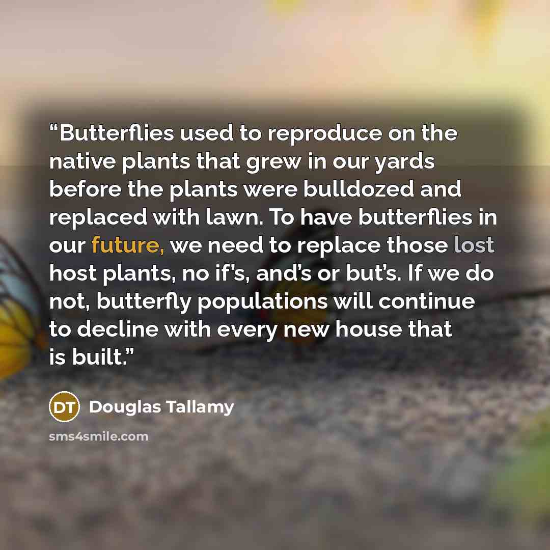 “Butterflies used to reproduce on the native plants that grew in our yards before the plants were bulldozed and replaced with lawn. To have butterflies in our future, we need to replace those lost host plants, no if’s, and’s or but’s. If we do not, butterfly populations will continue to decline…” quote by Douglas Tallamy
