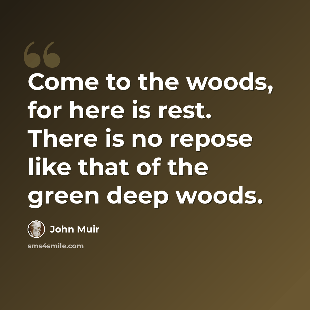 “Come to the woods, for here is rest. There is no repose like that of the green deep woods.” quote by John Muir