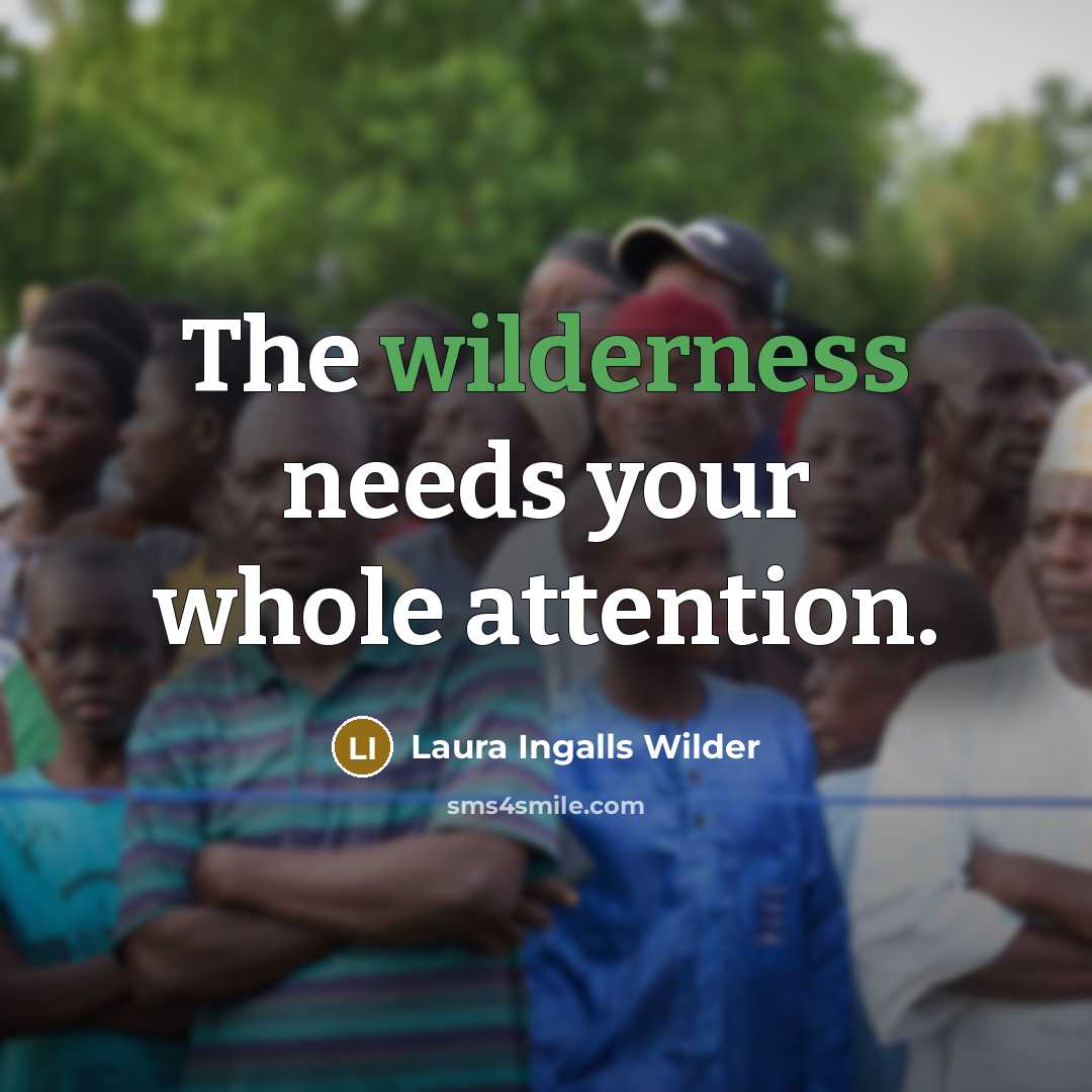 “The wilderness needs your whole attention.” quote by Laura Ingalls Wilder