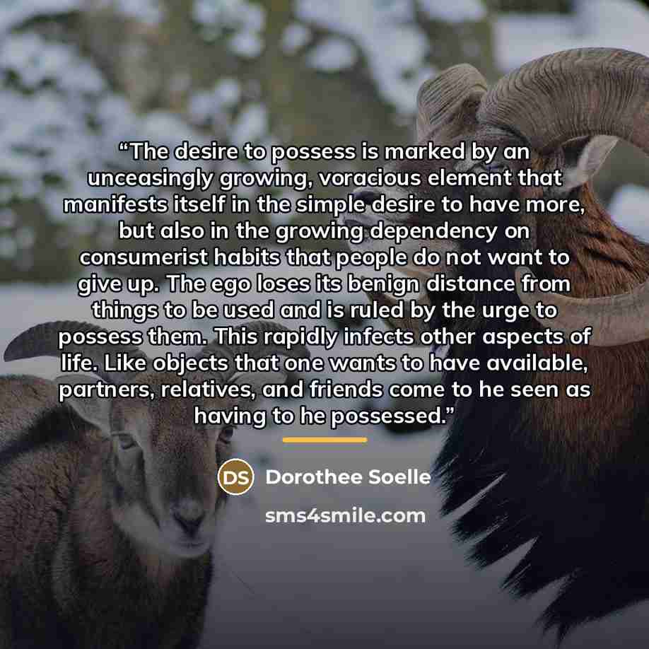 “The desire to possess is marked by an unceasingly growing, voracious element that manifests itself in the simple desire to have more, but also in the growing dependency on consumerist habits that people do not want to give up. The ego loses its benign distance from things to be used and is ruled…” quote by Dorothee Soelle