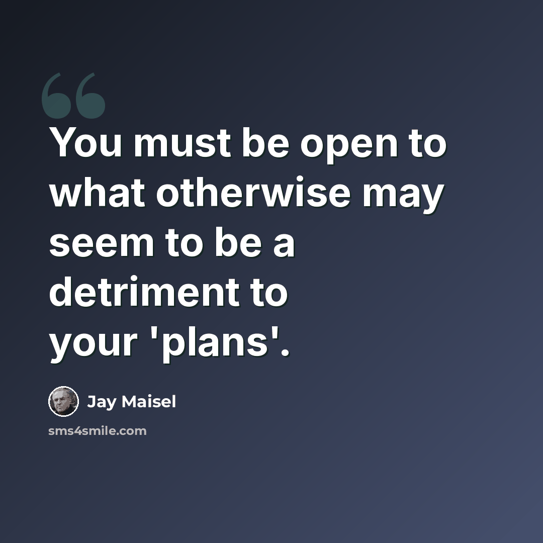 “You must be open to what otherwise may seem to be a detriment to your 'plans'.” quote by Jay Maisel