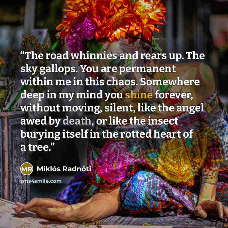 “The road whinnies and rears up. The sky gallops. You are permanent within me in this chaos. Somewhere deep in my mind you shine forever, without moving, silent, like the angel awed by death, or like the insect burying itself in the rotted heart of a tree.” quote by Miklos Radnoti