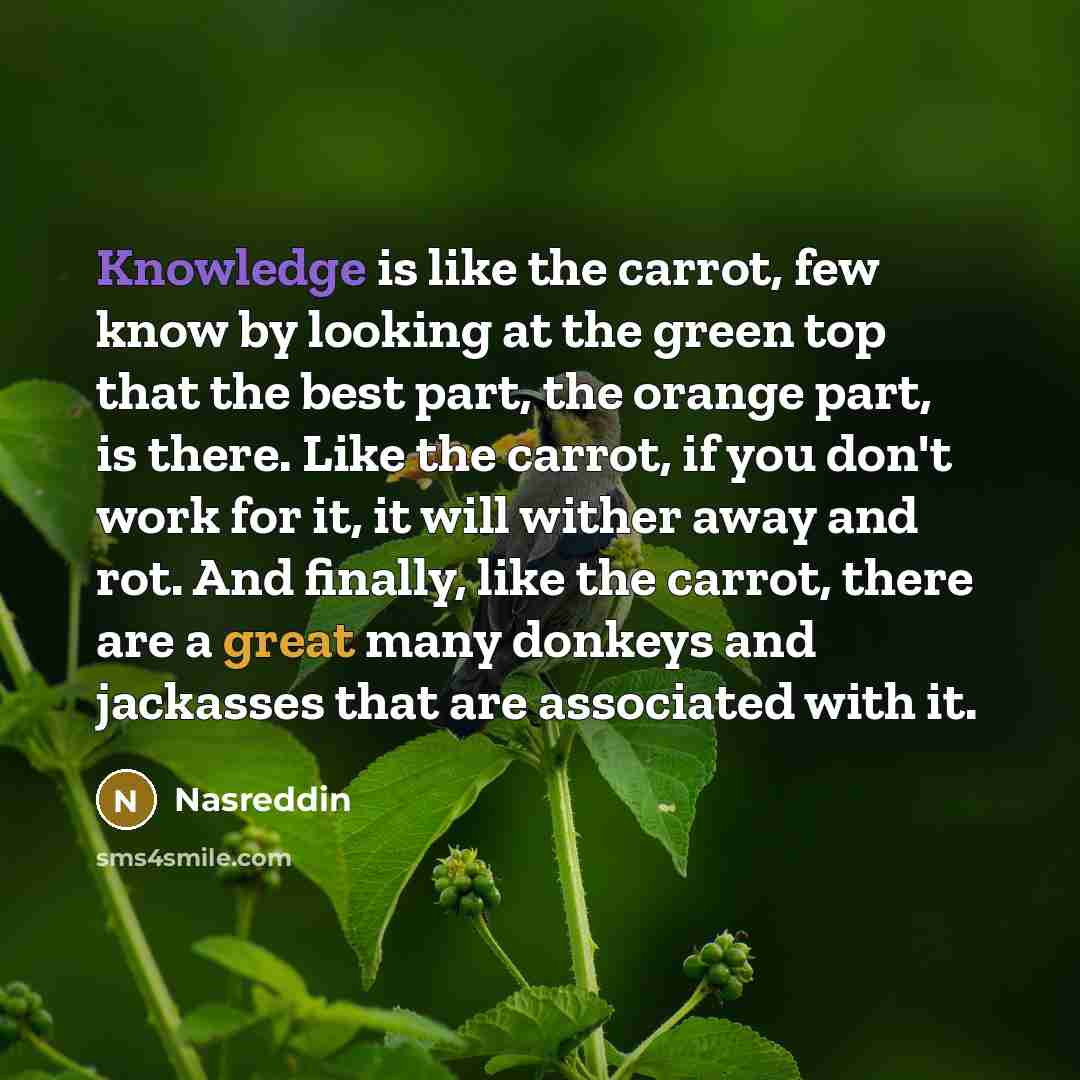 “Knowledge is like the carrot, few know by looking at the green top that the best part, the orange part, is there. Like the carrot, if you don't work for it, it will wither away and rot. And finally, like the carrot, there are a great many donkeys and jackasses that are associated with it.” quote by Nasreddin