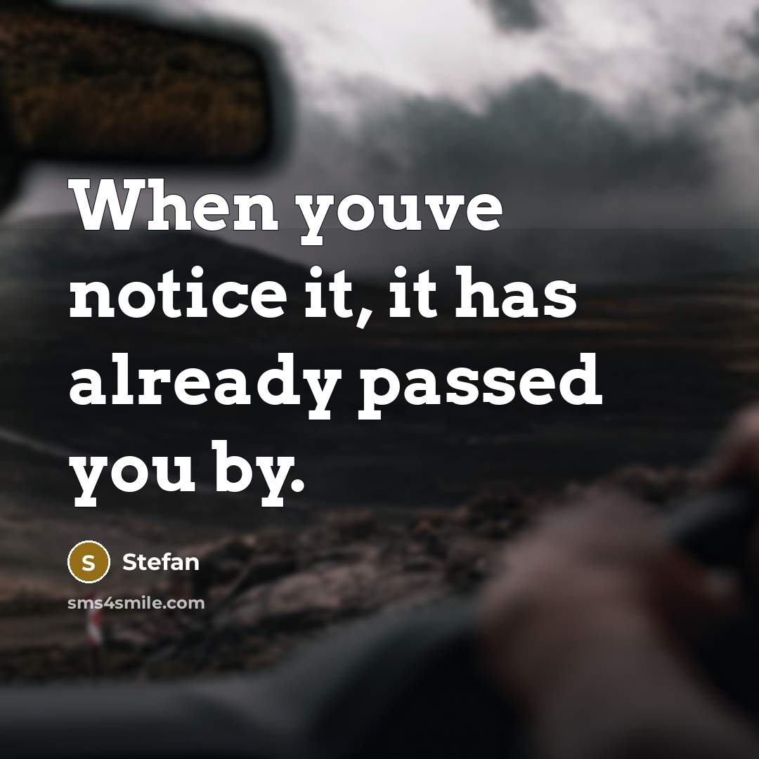 “When youve notice it, it has already passed you by.” quote by Stefan