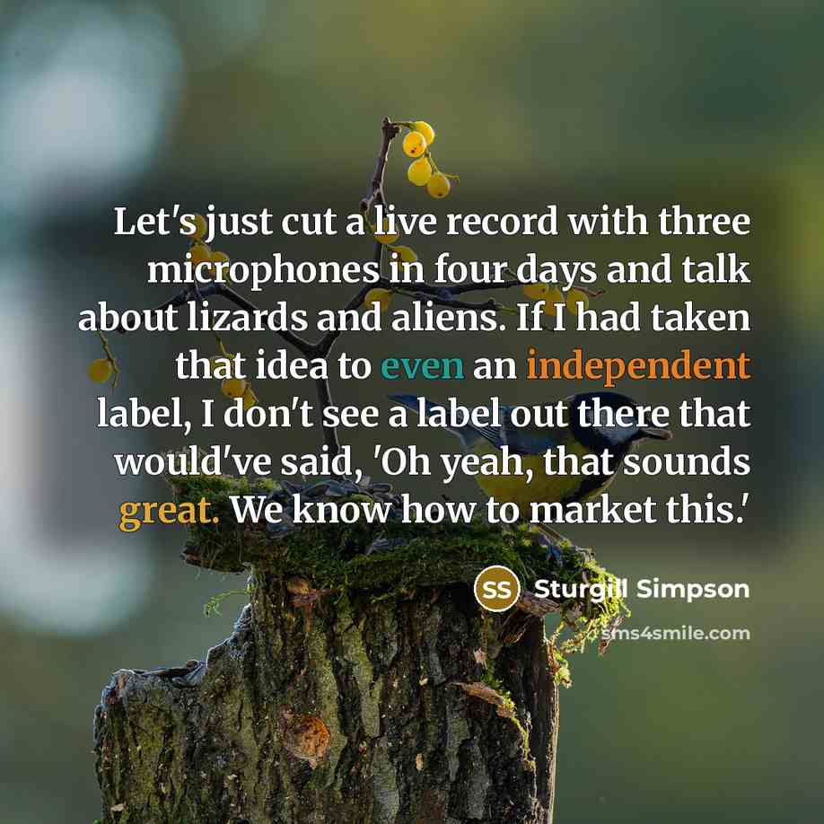 “Let's just cut a live record with three microphones in four days and talk about lizards and aliens. If I had taken that idea to even an independent label, I don't see a label out there that would've said, 'Oh yeah, that sounds great. We know how to market this.'” quote by Sturgill Simpson