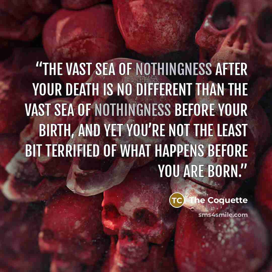 “The vast sea of nothingness after your death is no different than the vast sea of nothingness before your birth, and yet you’re not the least bit terrified of what happens before you are born.” quote by The Coquette