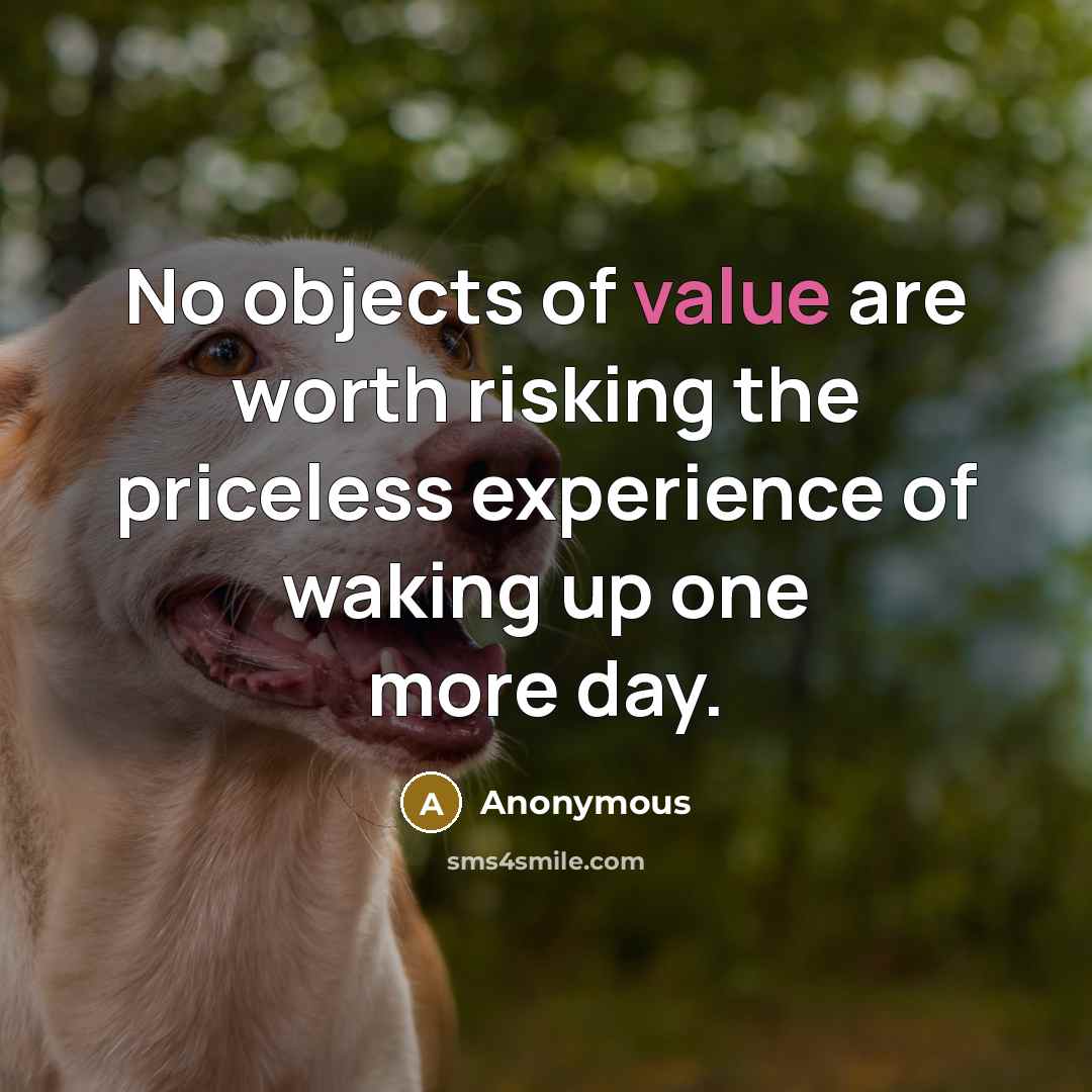 “No objects of value are worth risking the priceless experience of waking up one more day.” quote by Anonymous