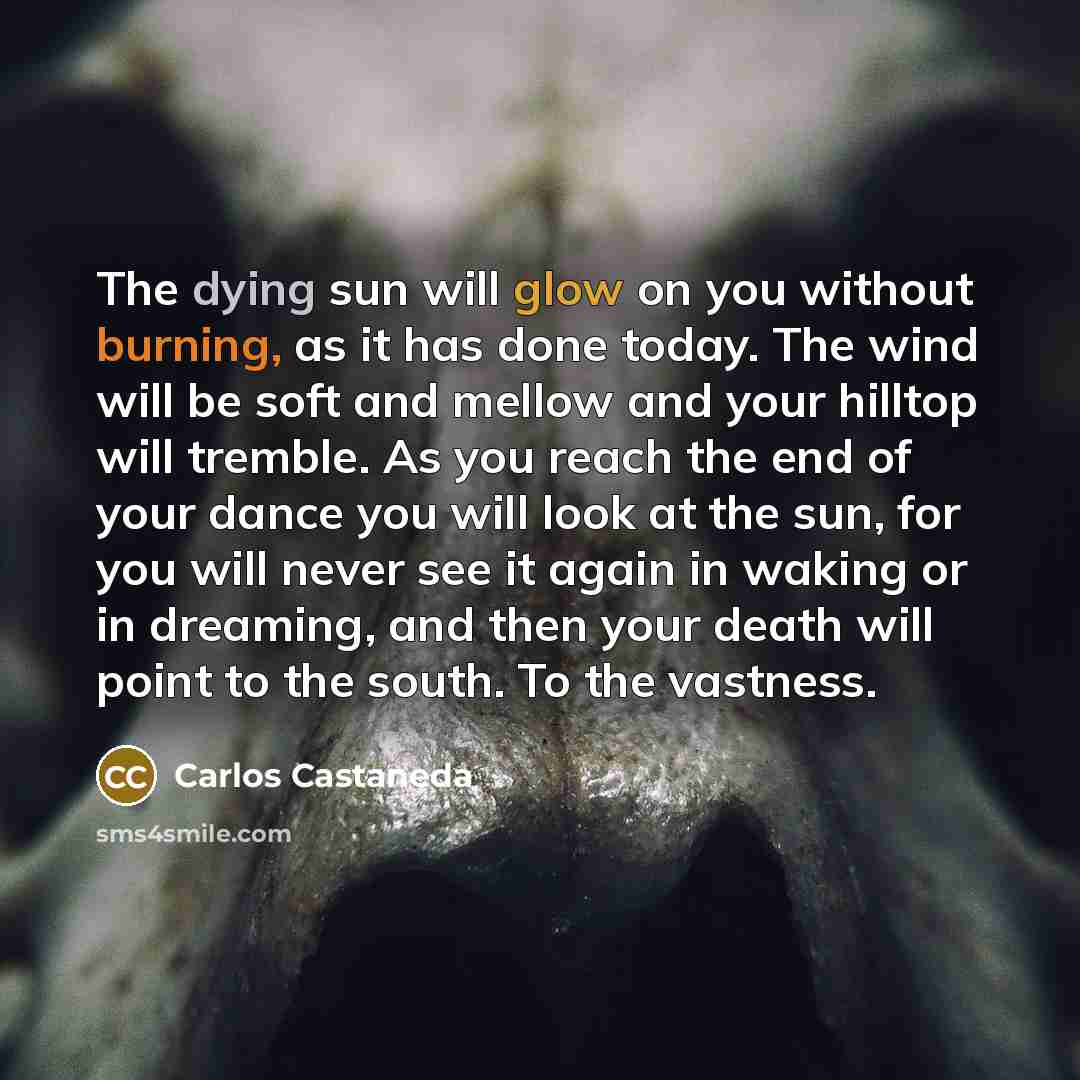 “The dying sun will glow on you without burning, as it has done today. The wind will be soft and mellow and your hilltop will tremble. As you reach the end of your dance you will look at the sun, for you will never see it again in waking or in dreaming, and then your death will point to the south…” quote by Carlos Castaneda