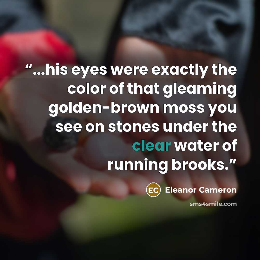 “...his eyes were exactly the color of that gleaming golden-brown moss you see on stones under the clear water of running brooks.” quote by Eleanor Cameron