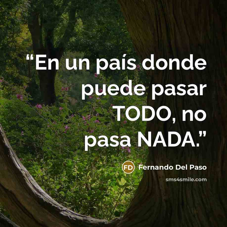 “En un país donde puede pasar TODO, no pasa NADA.” quote by Fernando Del Paso