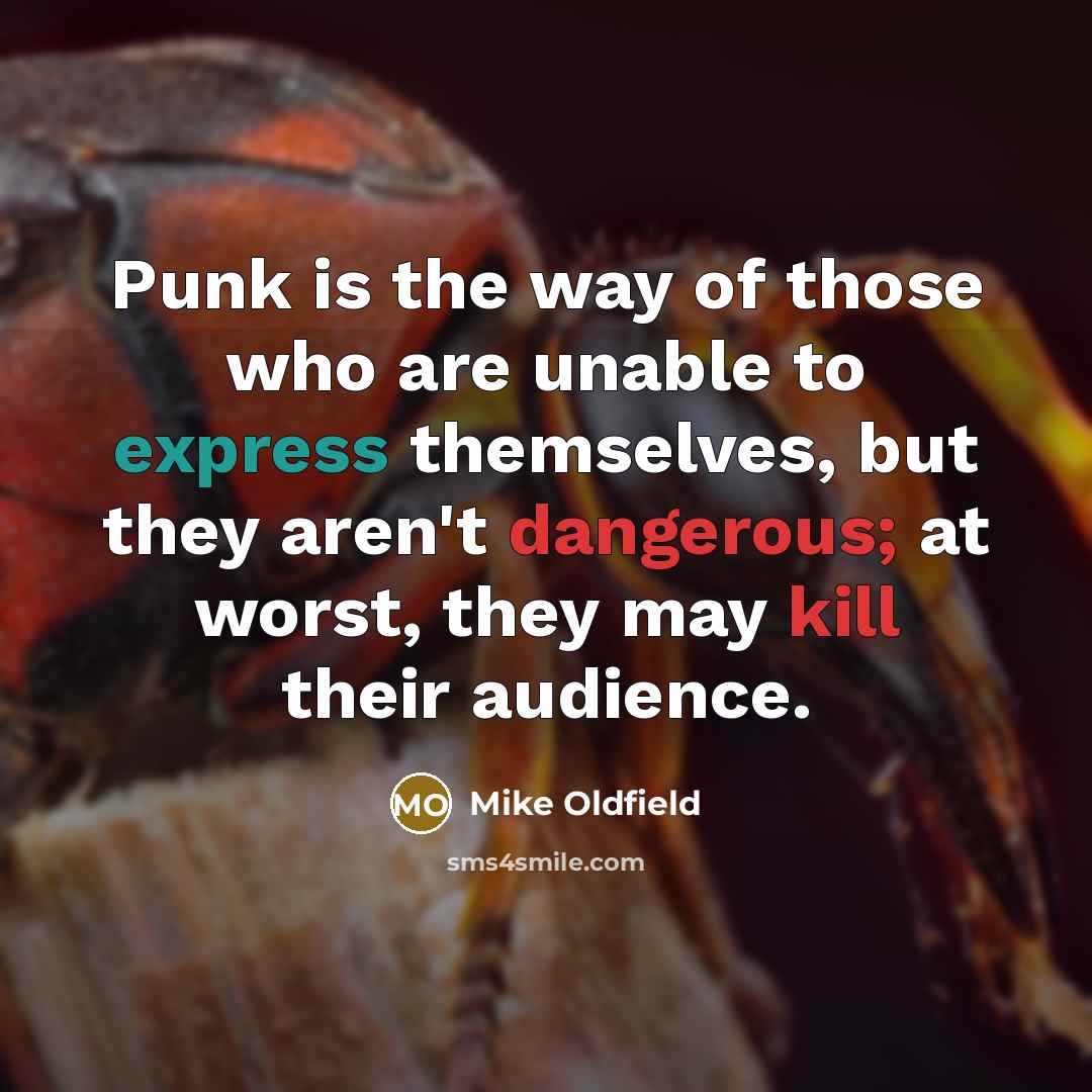 “Punk is the way of those who are unable to express themselves, but they aren't dangerous; at worst, they may kill their audience.” quote by Mike Oldfield