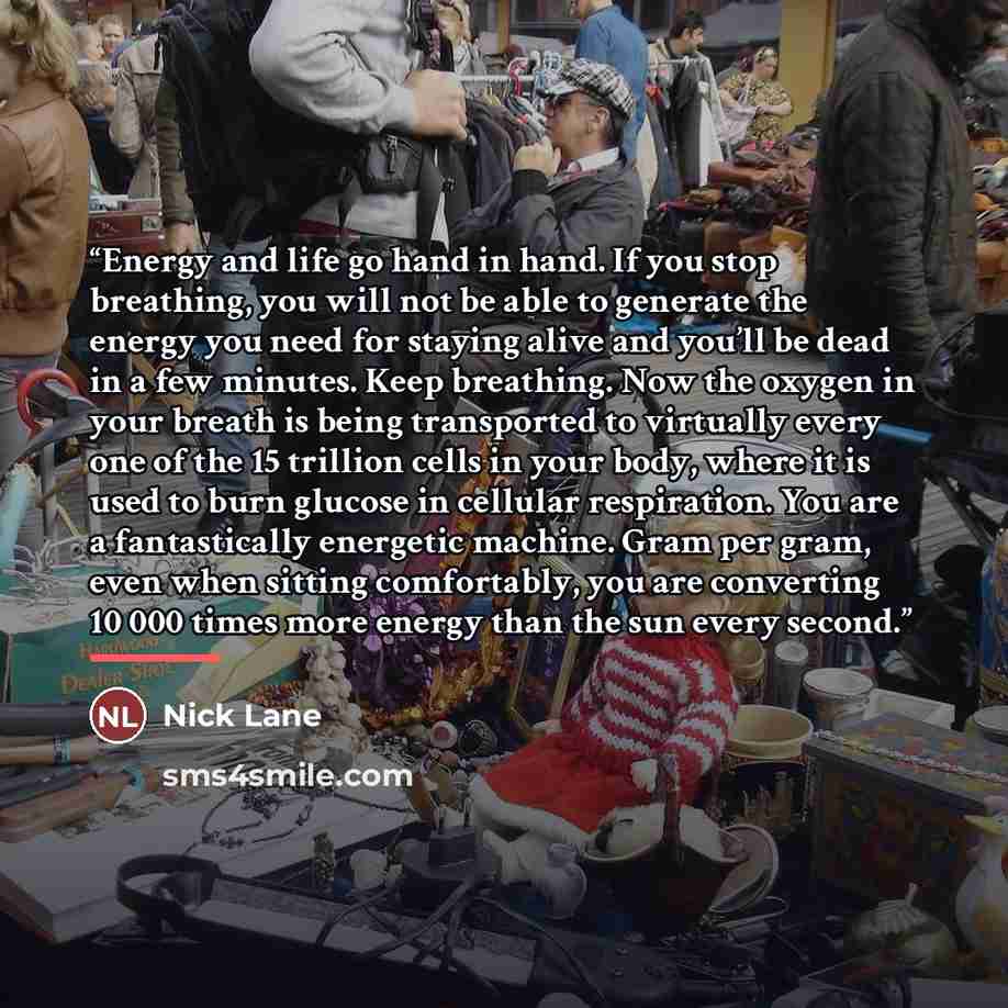 “Energy and life go hand in hand. If you stop breathing, you will not be able to generate the energy you need for staying alive and you’ll be dead in a few minutes. Keep breathing. Now the oxygen in your breath is being transported to virtually every one of the 15 trillion cells in your body, where…” quote by Nick Lane