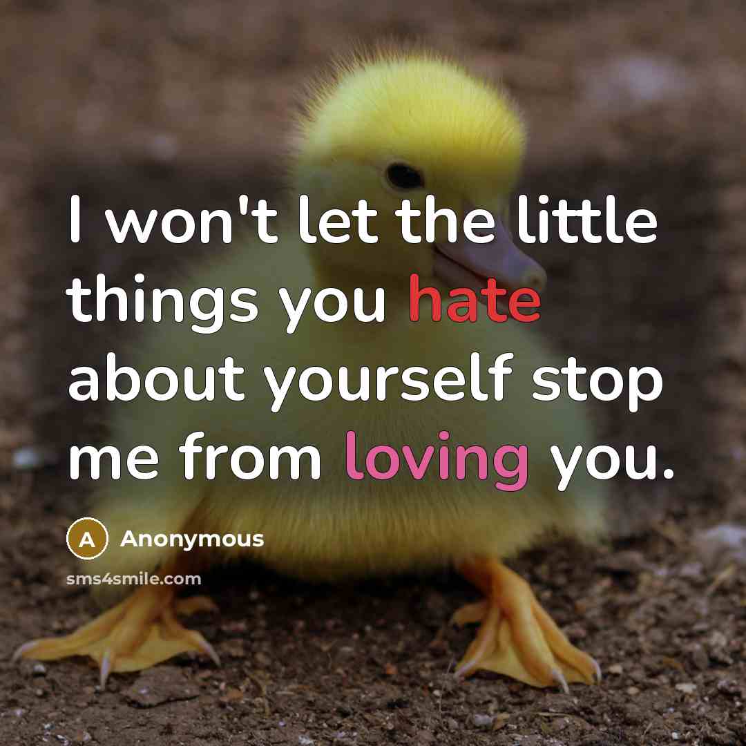 “I won't let the little things you hate about yourself stop me from loving you.” quote by Anonymous