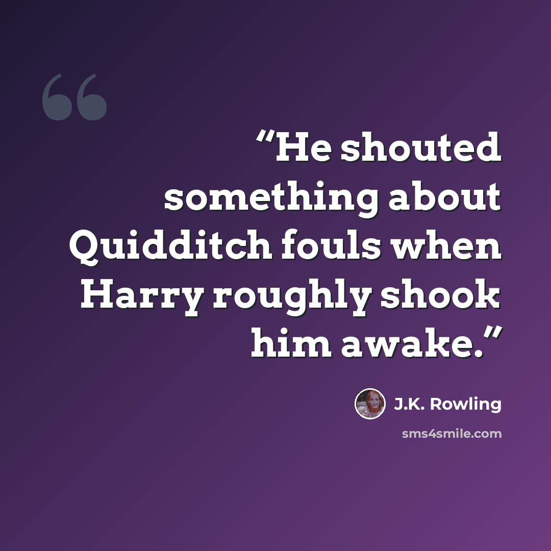 “He shouted something about Quidditch fouls when Harry roughly shook him awake.” quote by J.K. Rowling