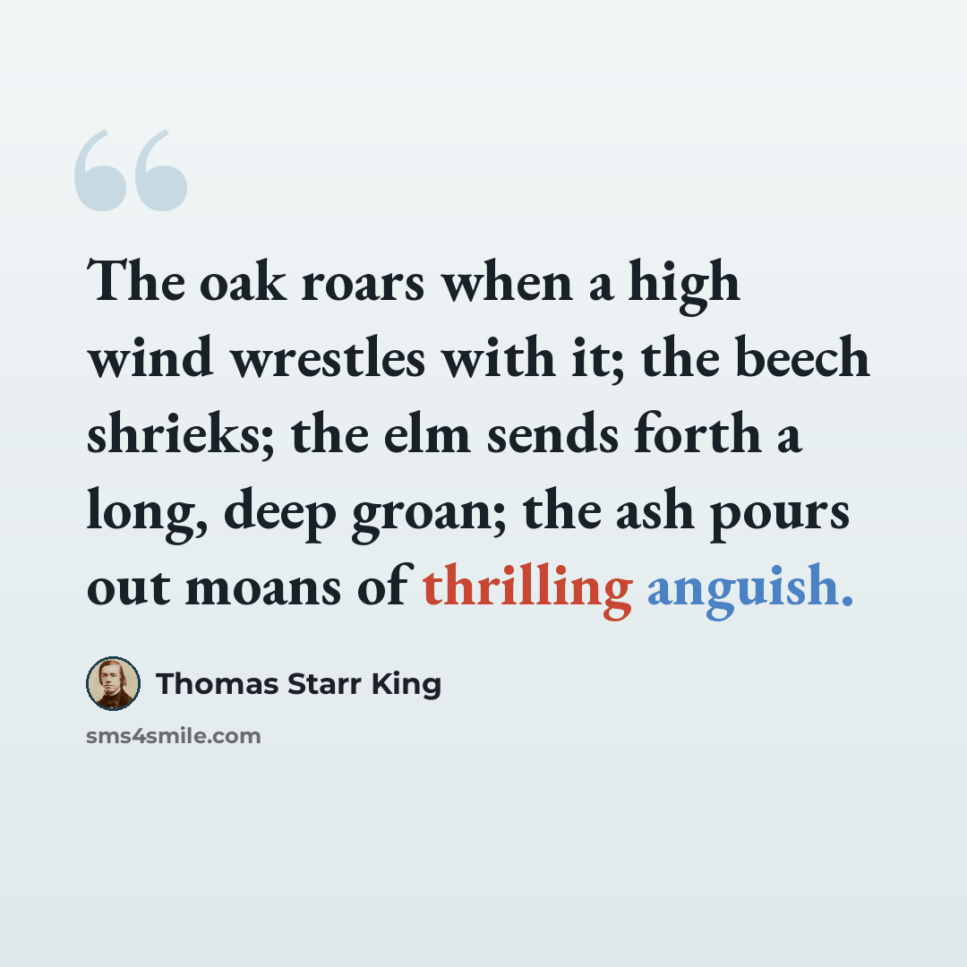 “The oak roars when a high wind wrestles with it; the beech shrieks; the elm sends forth a long, deep groan; the ash pours out moans of thrilling anguish.” quote by Thomas Starr King