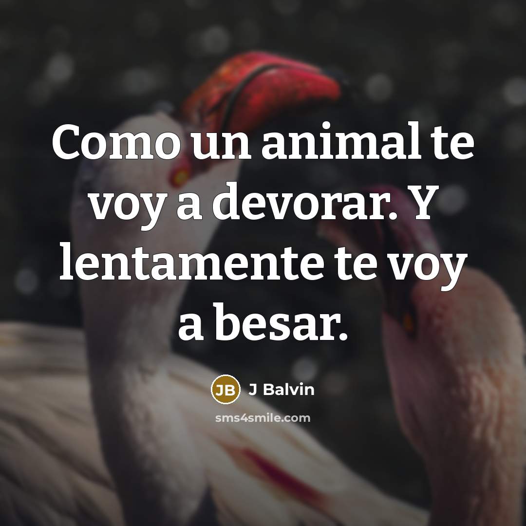 “Como un animal te voy a devorar. Y lentamente te voy a besar.” quote by J Balvin