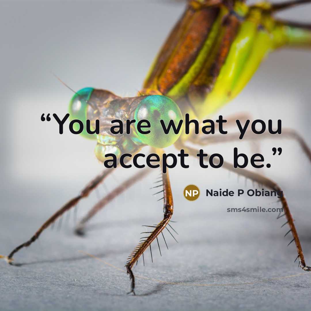 “You are what you accept to be.” quote by Naide P Obiang