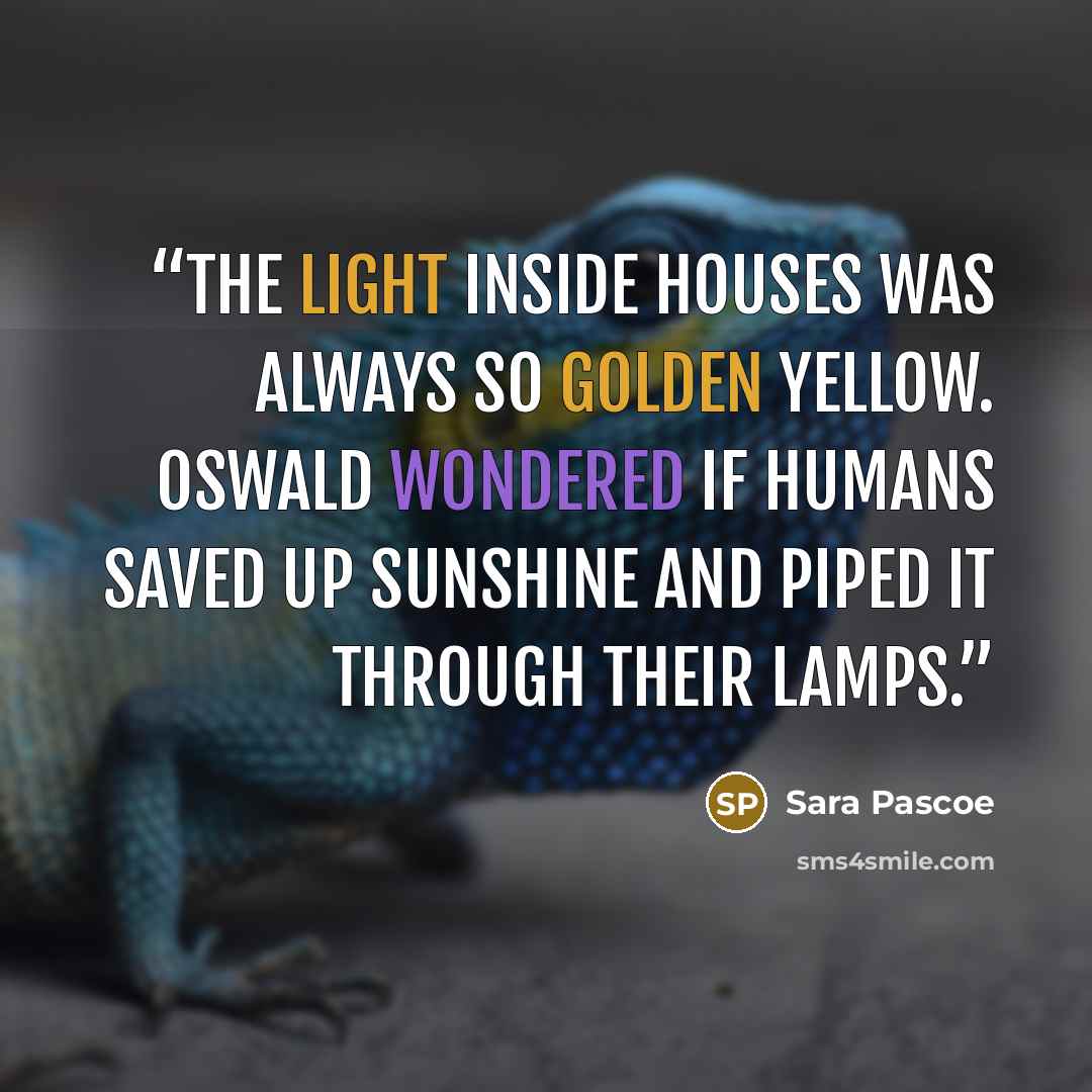 “The light inside houses was always so golden yellow. Oswald wondered if humans saved up sunshine and piped it through their lamps.” quote by Sara Pascoe