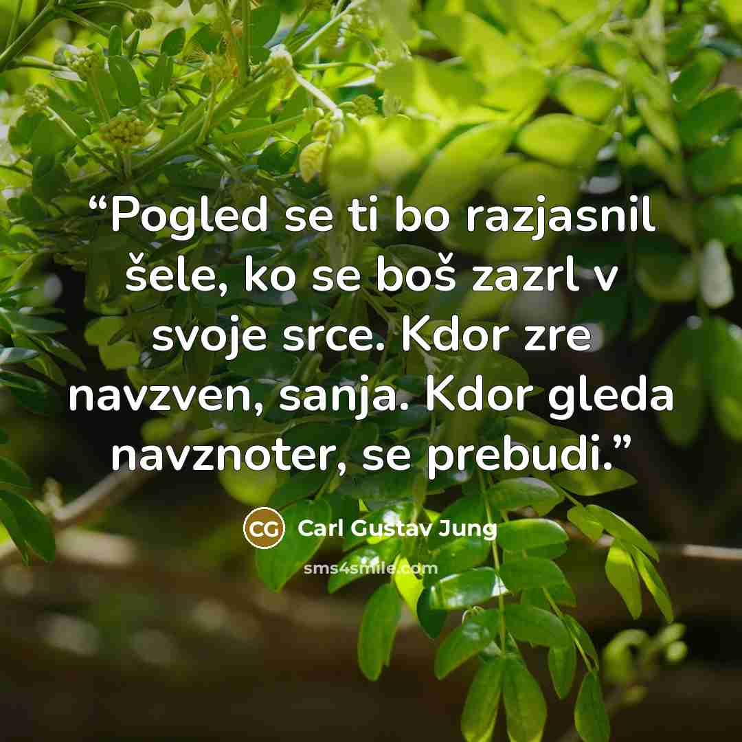 “Pogled se ti bo razjasnil šele, ko se boš zazrl v svoje srce. Kdor zre navzven, sanja. Kdor gleda navznoter, se prebudi.” quote by Carl Gustav Jung