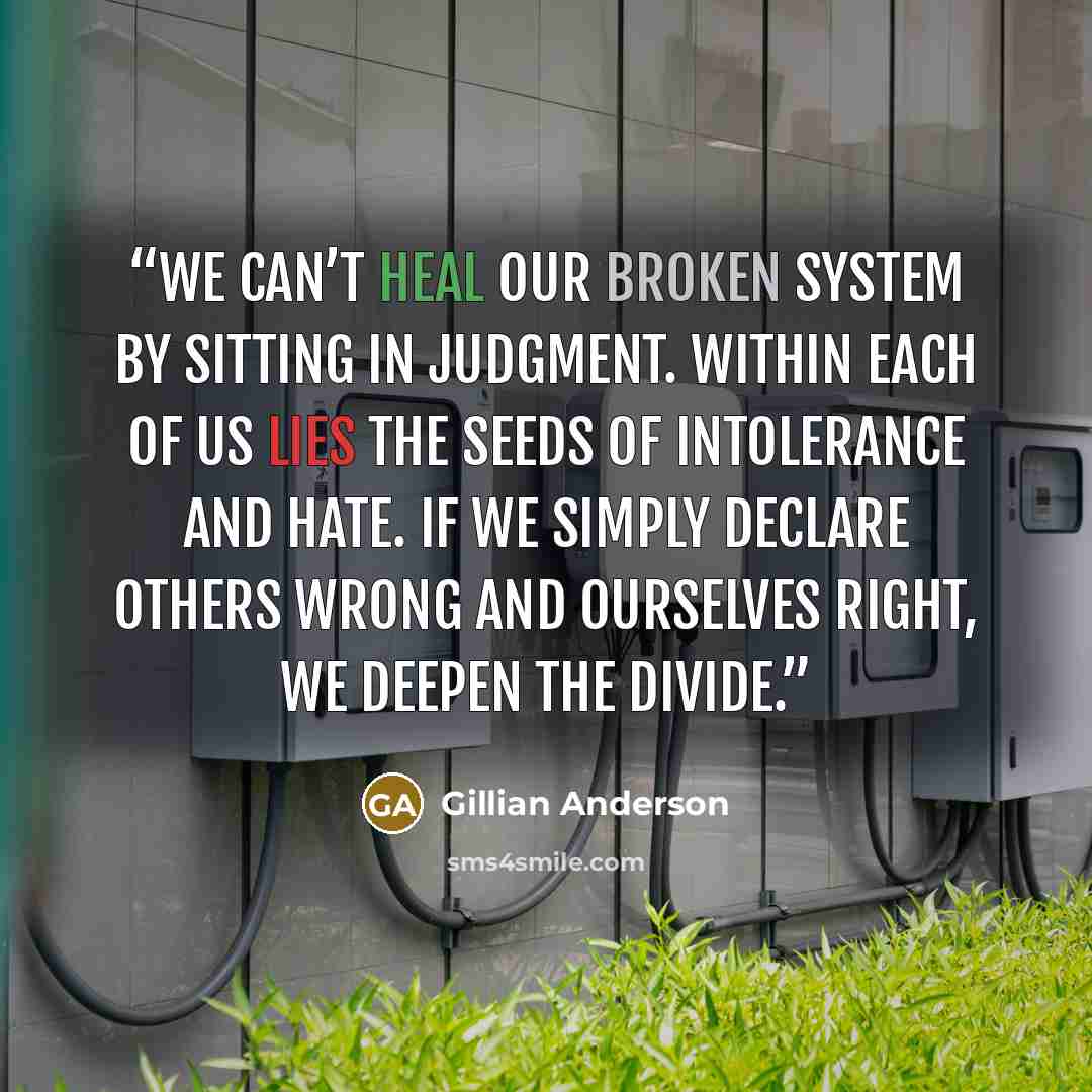 “We can’t heal our broken system by sitting in judgment. Within each of us lies the seeds of intolerance and hate. If we simply declare others wrong and ourselves right, we deepen the divide.” quote by Gillian Anderson