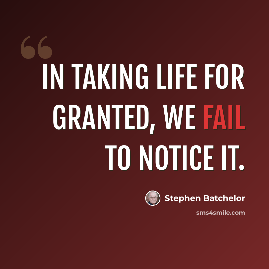 “In taking life for granted, we fail to notice it.” quote by Stephen Batchelor