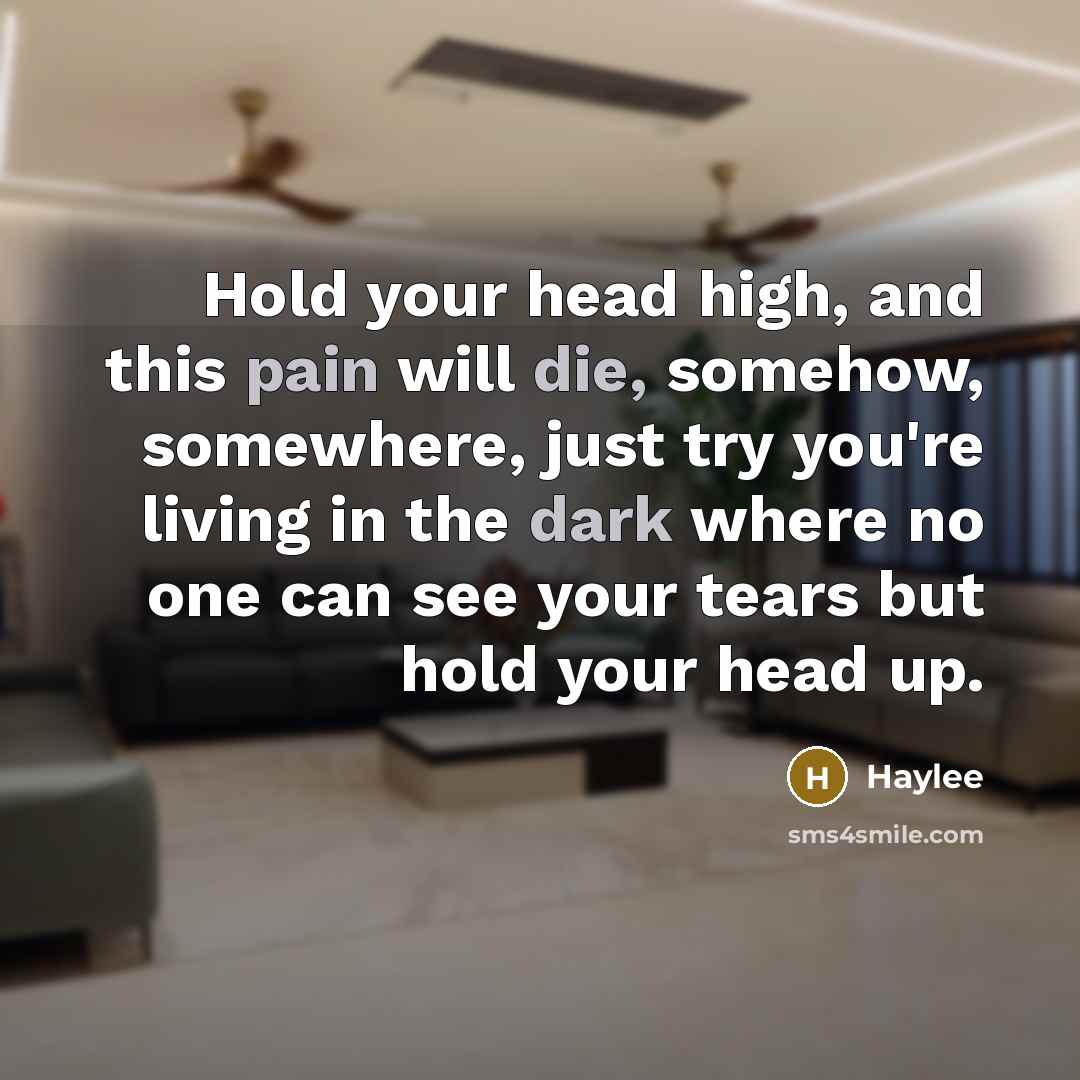 “Hold your head high, and this pain will die, somehow, somewhere, just try you're living in the dark where no one can see your tears but hold your head up.” quote by Haylee