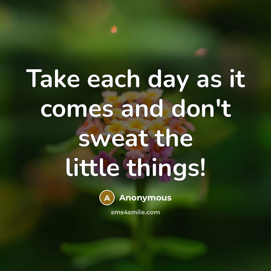 “Take each day as it comes and don't sweat the little things!” quote by Anonymous