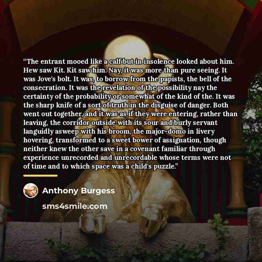“The entrant mooed like a calf but in insolence looked about him. Hew saw Kit. Kit saw him. Nay, it was more than pure seeing. It was Jove's bolt. It was, to borrow from the papists, the bell of the consecration. It was the revelation of the possibility nay the certainty of the probability or…” quote by Anthony Burgess