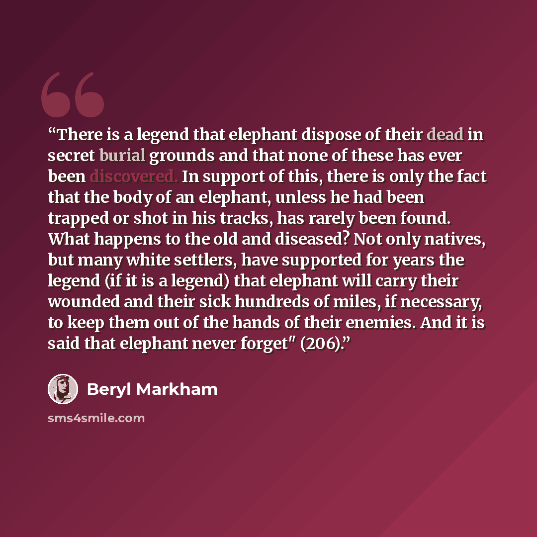 “There is a legend that elephant dispose of their dead in secret burial grounds and that none of these has ever been discovered. In support of this, there is only the fact that the body of an elephant, unless he had been trapped or shot in his tracks, has rarely been found. What happens to the old…” quote by Beryl Markham