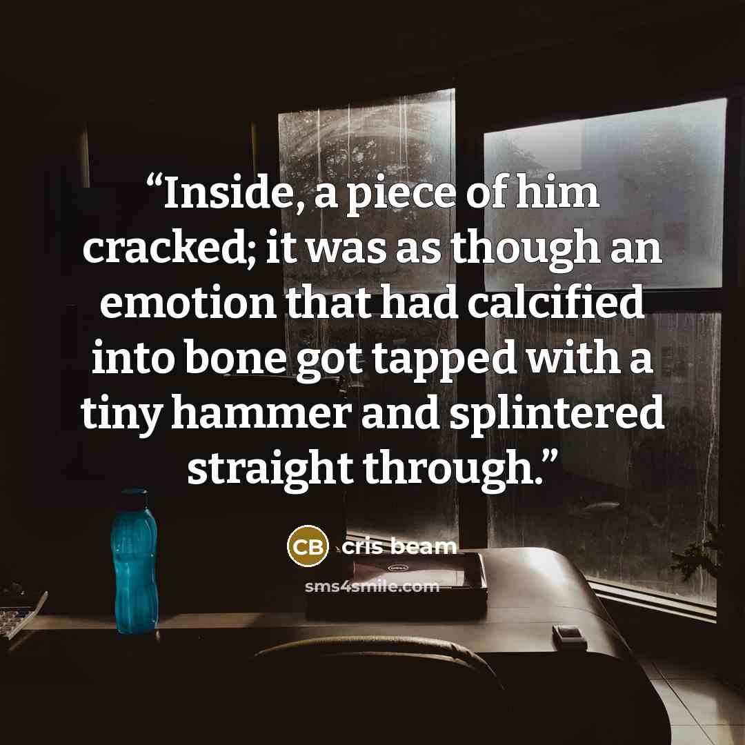 “Inside, a piece of him cracked; it was as though an emotion that had calcified into bone got tapped with a tiny hammer and splintered straight through.” quote by cris beam