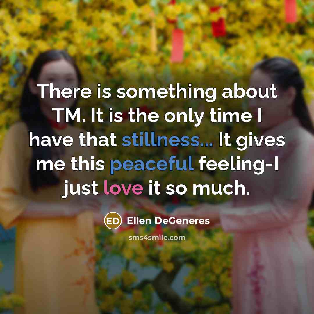 “There is something about TM. It is the only time I have that stillness... It gives me this peaceful feeling-I just love it so much.” quote by Ellen DeGeneres