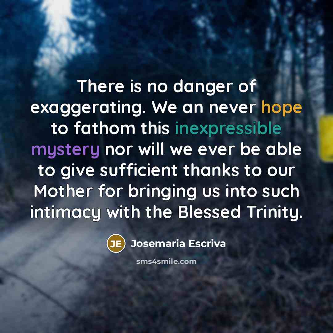 “There is no danger of exaggerating. We an never hope to fathom this inexpressible mystery nor will we ever be able to give sufficient thanks to our Mother for bringing us into such intimacy with the Blessed Trinity.” quote by Josemaria Escriva