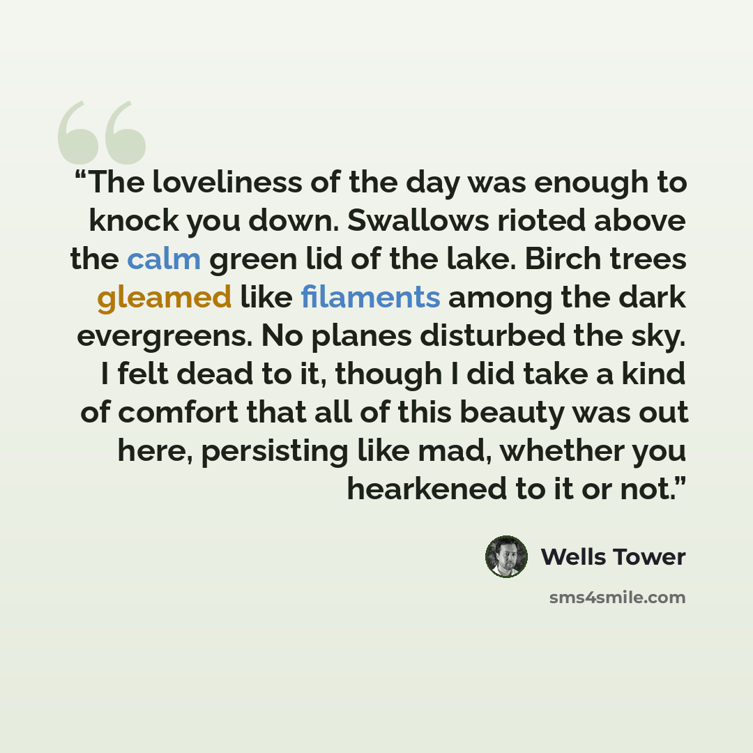 “The loveliness of the day was enough to knock you down. Swallows rioted above the calm green lid of the lake. Birch trees gleamed like filaments among the dark evergreens. No planes disturbed the sky. I felt dead to it, though I did take a kind of comfort that all of this beauty was out here…” quote by Wells Tower