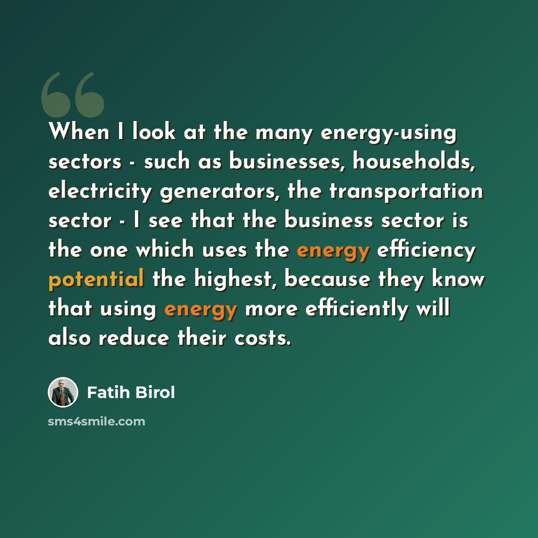 “When I look at the many energy-using sectors - such as businesses, households, electricity generators, the transportation sector - I see that the business sector is the one which uses the energy efficiency potential the highest, because they know that using energy more efficiently will also reduce…” quote by Fatih Birol