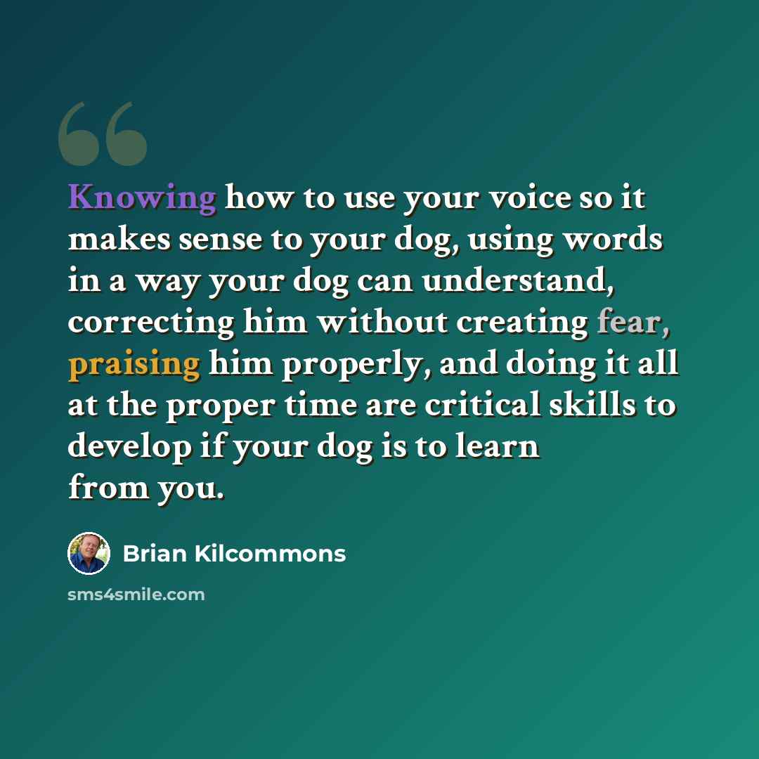 “Knowing how to use your voice so it makes sense to your dog, using words in a way your dog can understand, correcting him without creating fear, praising him properly, and doing it all at the proper time are critical skills to develop if your dog is to learn from you.” quote by Brian Kilcommons