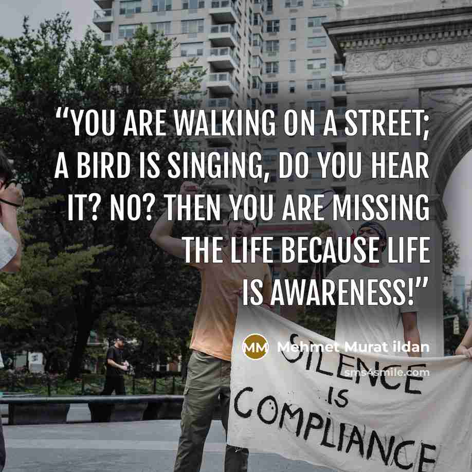 “You are walking on a street; a bird is singing, do you hear it? No? Then you are missing the life because life is awareness!” quote by Mehmet Murat ildan