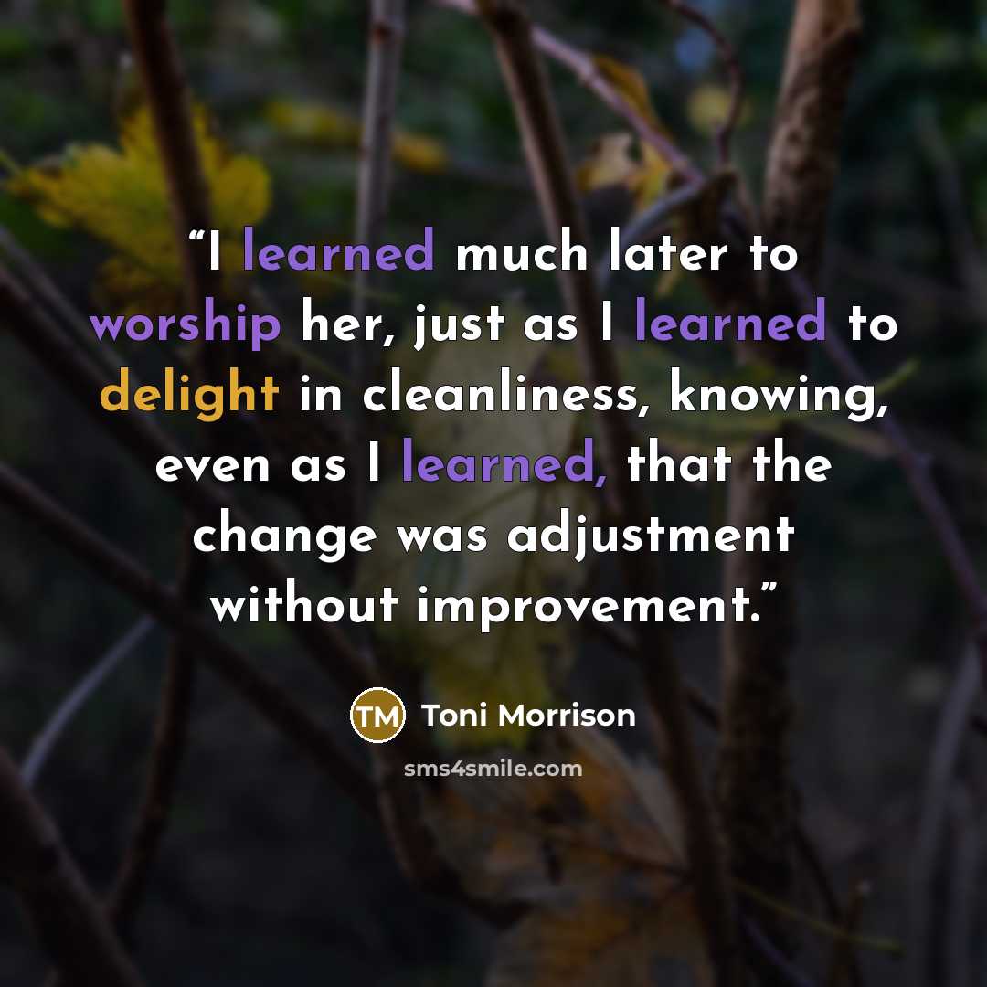 “I learned much later to worship her, just as I learned to delight in cleanliness, knowing, even as I learned, that the change was adjustment without improvement.” quote by Toni Morrison