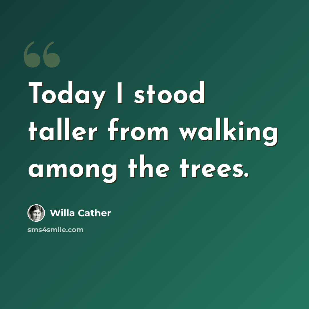 “Today I stood taller from walking among the trees.” quote by Willa Cather