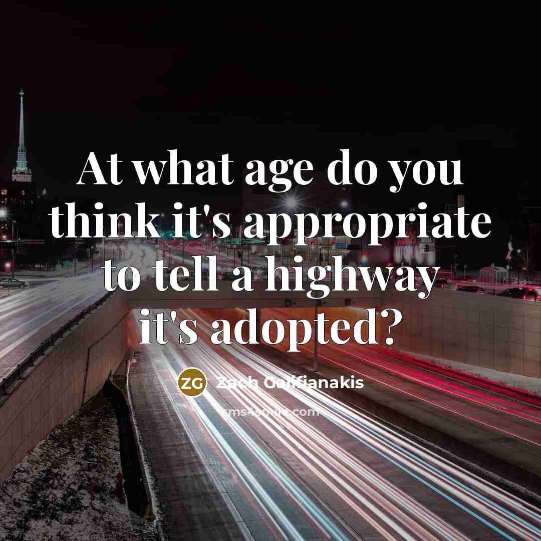 “At what age do you think it's appropriate to tell a highway it's adopted?” quote by Zach Galifianakis