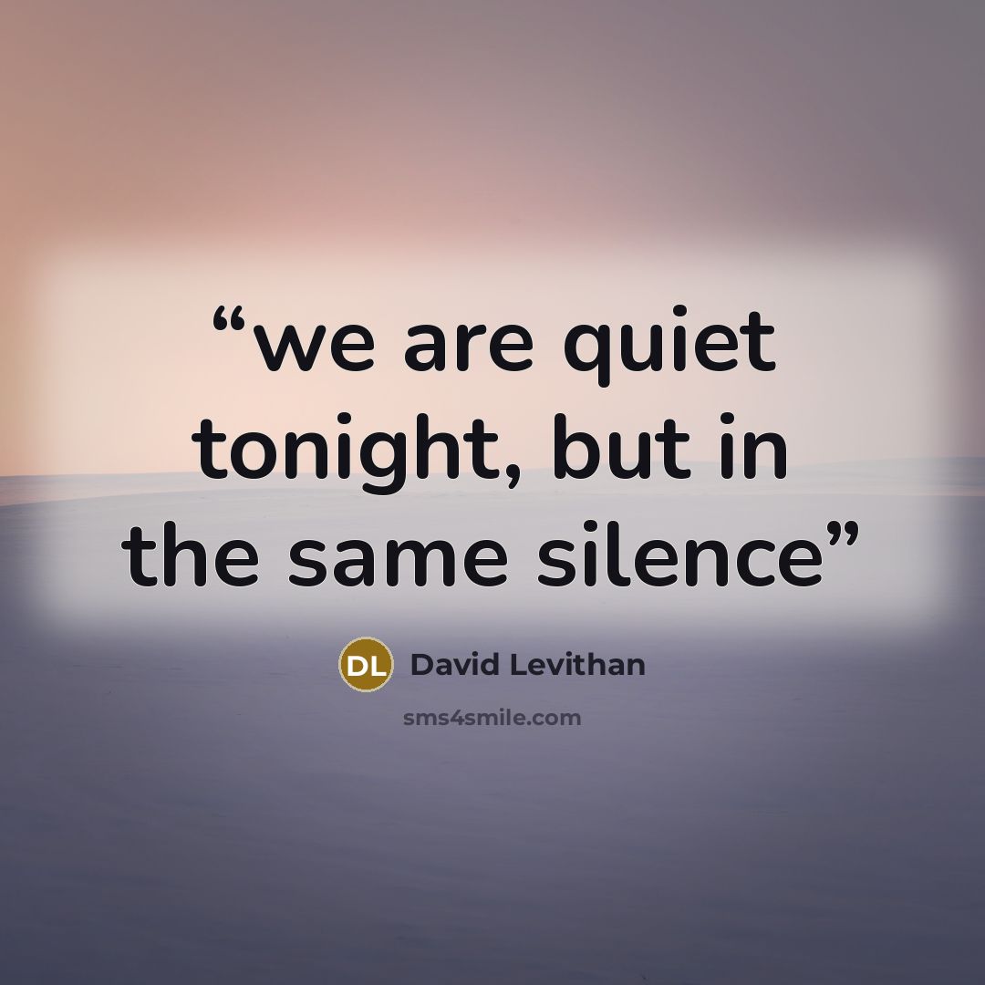 “we are quiet tonight, but in the same silence” quote by David Levithan