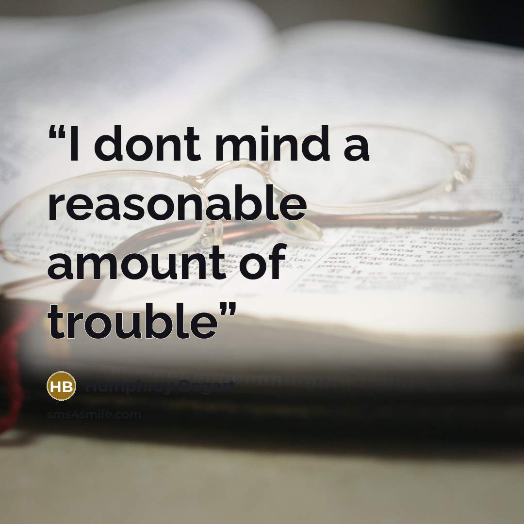 “I dont mind a reasonable amount of trouble” quote by humphrey bogart