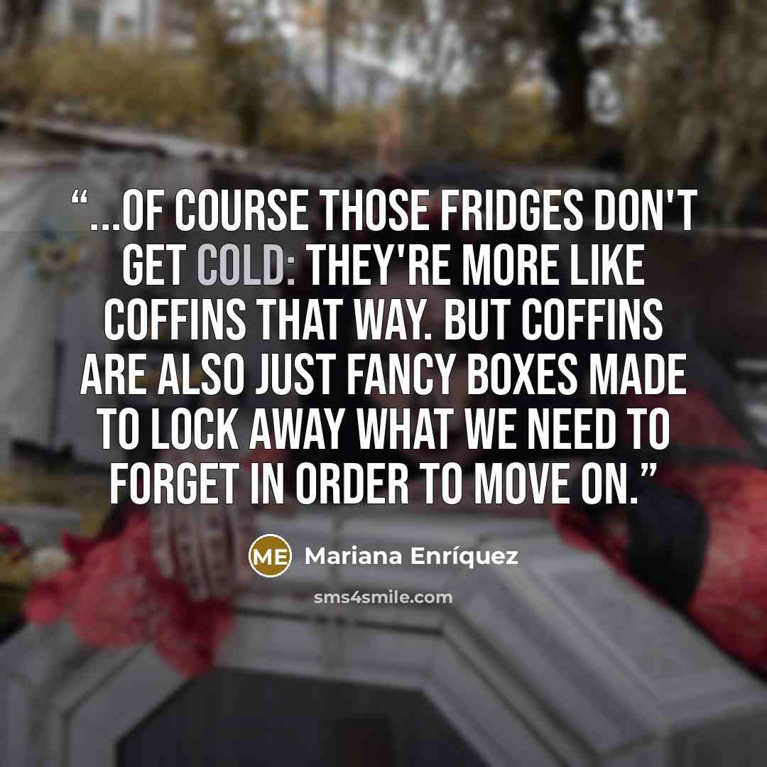 “...of course those fridges don't get cold: they're more like coffins that way. But coffins are also just fancy boxes made to lock away what we need to forget in order to move on.” quote by Mariana Enríquez
