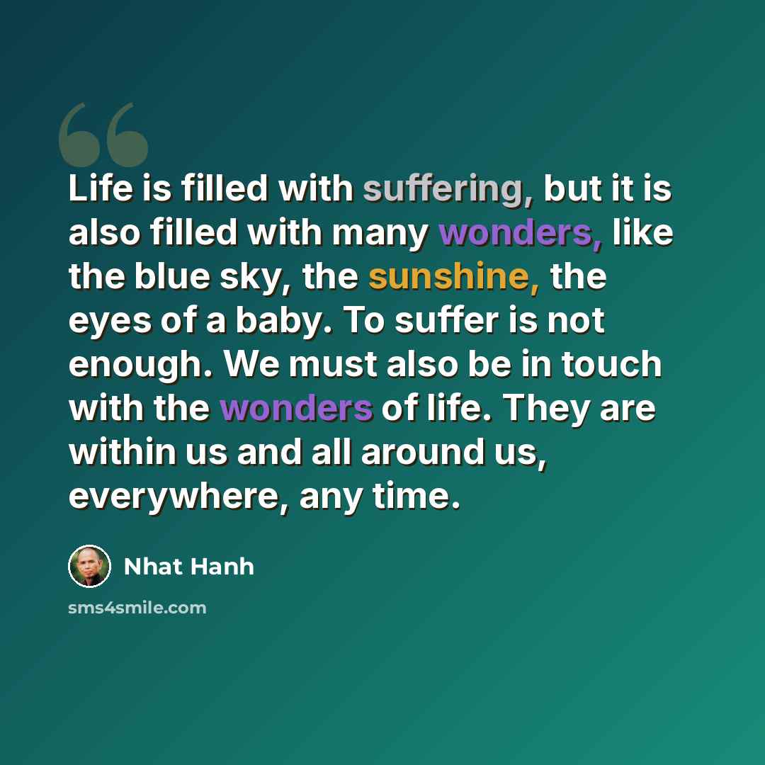 “Life is filled with suffering, but it is also filled with many wonders, like the blue sky, the sunshine, the eyes of a baby. To suffer is not enough. We must also be in touch with the wonders of life. They are within us and all around us, everywhere, any time.” quote by Nhat Hanh