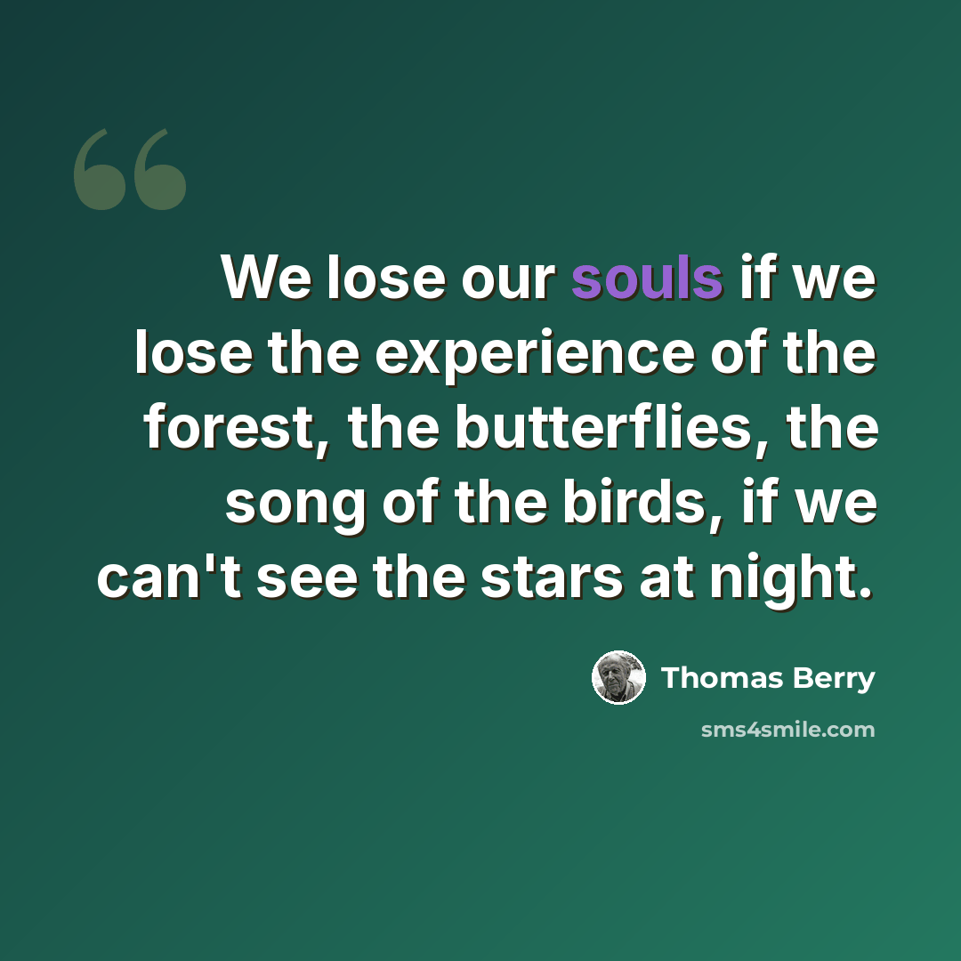 “We lose our souls if we lose the experience of the forest, the butterflies, the song of the birds, if we can't see the stars at night.” quote by Thomas Berry