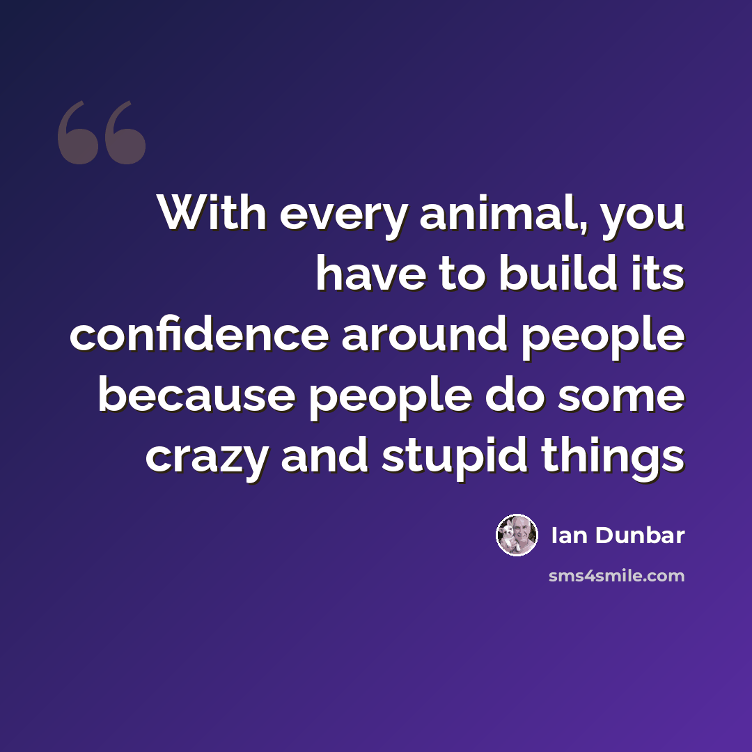 “With every animal, you have to build its confidence around people because people do some crazy and stupid things” quote by Ian Dunbar