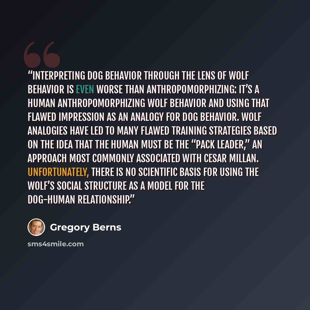 “Interpreting dog behavior through the lens of wolf behavior is even worse than anthropomorphizing: it’s a human anthropomorphizing wolf behavior and using that flawed impression as an analogy for dog behavior. Wolf analogies have led to many flawed training strategies based on the idea that the…” quote by Gregory Berns